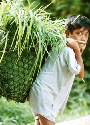 Stop Child Labour!